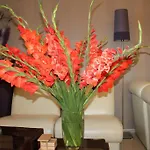 Hotel Centar 3*
