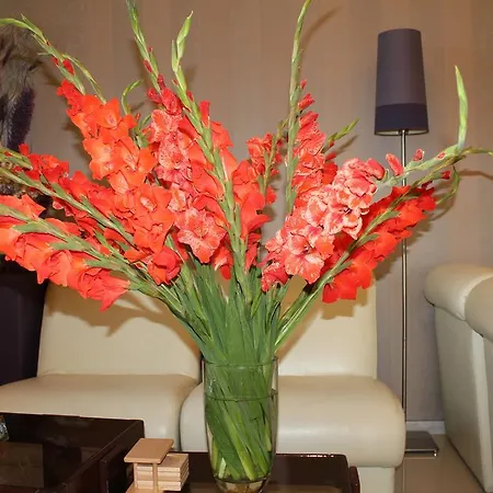 Hotel Centar 3*